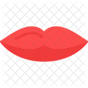 Anatomy  Icon
