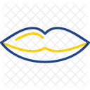 Anatomy  Icon