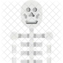 Anatomy Bone Skull Icon