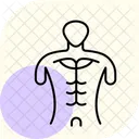 Anatomy model  Icon