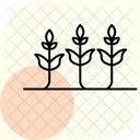 Anbau Von Kulturpflanzen Symbol