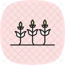 Anbau Von Nutzpflanzen Anbau Nutzpflanzen Symbol