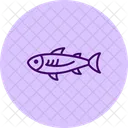 Anchovy  Icon