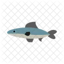 Anchovy Fish Seafood Icon