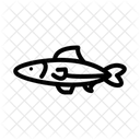 Anchovy Fish Seafood Icon