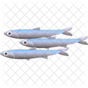 Anchovy Fish Food Icon
