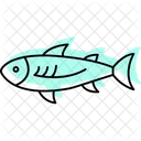Anchovy Ocean Marine Icon