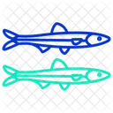 Anchovy Icon