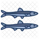 Anchovy  Icon