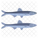 Anchovy  Icon