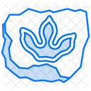 Ancient Footprints Footprint Human Evolution Icon