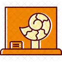 Ancient Remains Prehistoric Icon