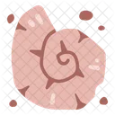Ancient shell  Icon