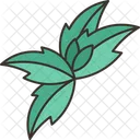 Andrographis Paniculate Herb Icon