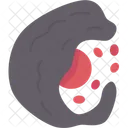 Anemia Blood Cells Icon