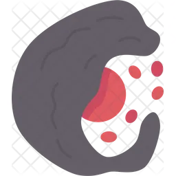 Anemia  Icon