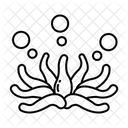 Anemona Icon