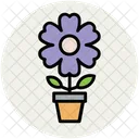 Anemone Plant Pot Icon