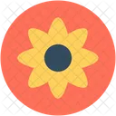 Anemone Flower Spring Icon