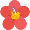 Anemone Flower Bloom Icon
