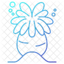 Anemone Animal Ocean Icon