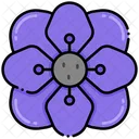 Anemone Icon