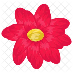 Anemone Flower  Icon
