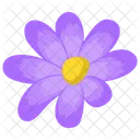 Anemone Anemone Flower Flower Icon