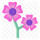 Anemone Flowers  Icon