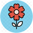 Anemone Flower Spring Icon
