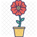 Anemonenblüte  Symbol