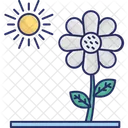 Anemonenblüte  Symbol