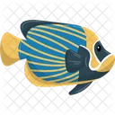 Angelfish Icon