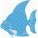Angelfish Aquatic Mammal Fish Icon