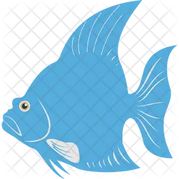 Angelfish  Icon