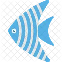 Angelfish Pet Fish Icon