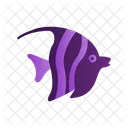 Angelfish Butterflyfish Marine Icon