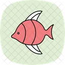 Angelfish  Icon