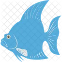 Angelfish  Icon