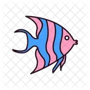 Angelfish  Icon