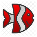 Angelfish  Icon