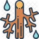 Angio Icon