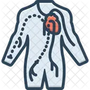 Angiogram  Icon