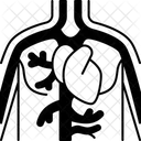 Angiography  Icon