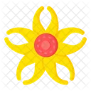 Angiosperm Flower  Icon