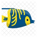 Angle Fish  Icon