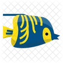 Angle Fish  Icon