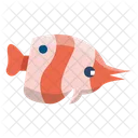 Angle Fishs  Icon