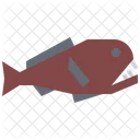 Angler Fish Animal Sea Icon