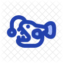 アンコウ  アイコン